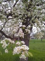 IMG-20250414-WA0004