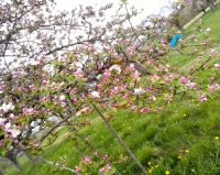 IMG-20250414-WA0005